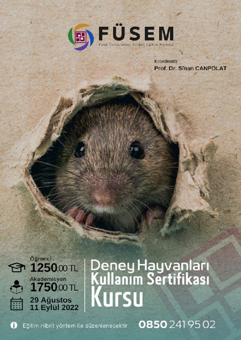 fusem-kurs-duyurusu-5066