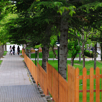 icuwt-kongresi-universitemiz-ev-sahipliginde-duzenleniyor-2193