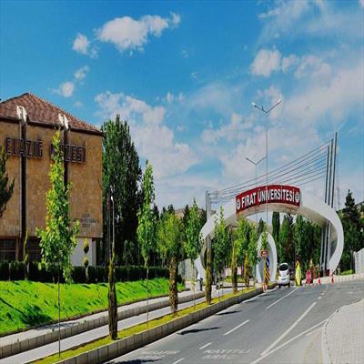 sanat-okumalari-etkinliginde-ustad-bekir-sitki-sezgin-anildi-2207