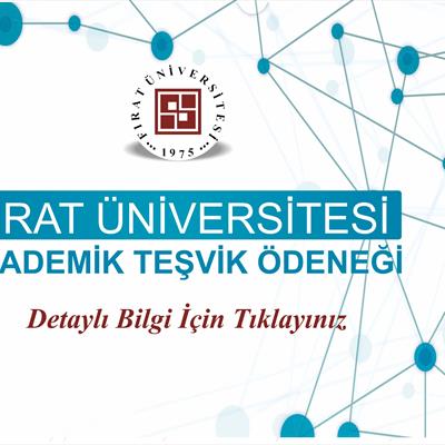 akademik-tesvik-bilgilendirme-kilavuzu-2018-2971